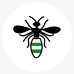 Insect 10