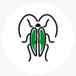 Insect 1