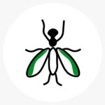 Insect 3