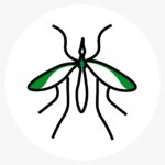 Insect 4