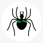 Insect 6